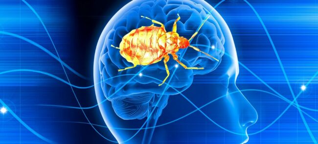 Réflexions pour donner suite à l’étude